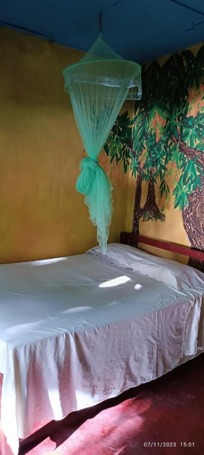 Ometepe Hostel La Gloria מראה חיצוני תמונה