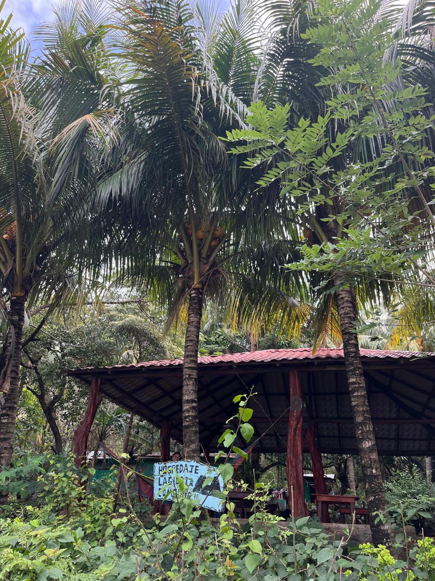 Ometepe Hostel La Gloria מראה חיצוני תמונה